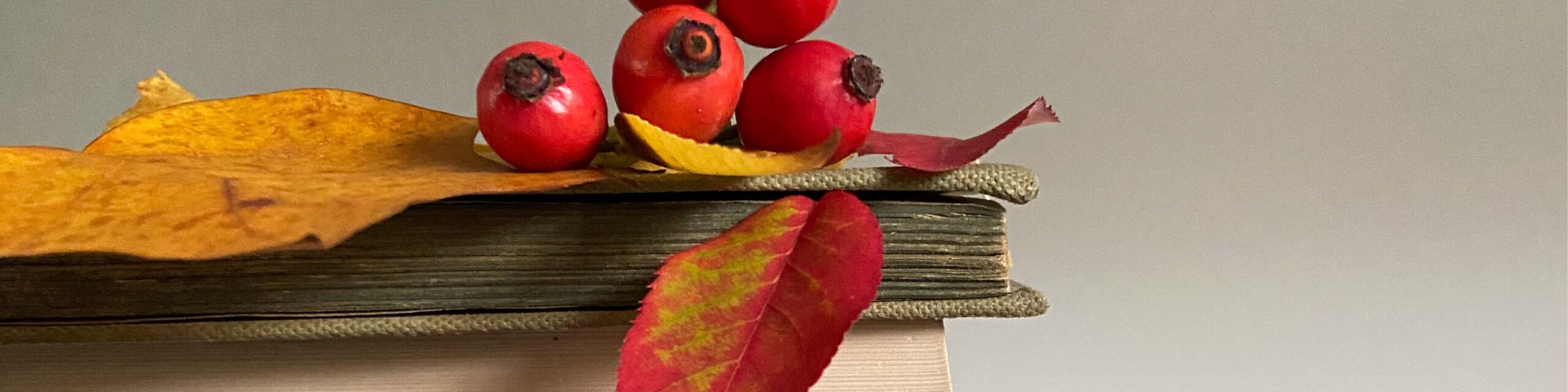 17.10.2026 Flohmarkt