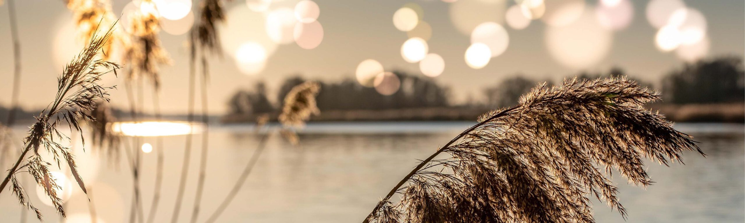 Seniorenkreis Programm für 2026